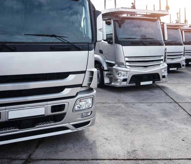 Requisitos para la matriculación de vehículos de transporte